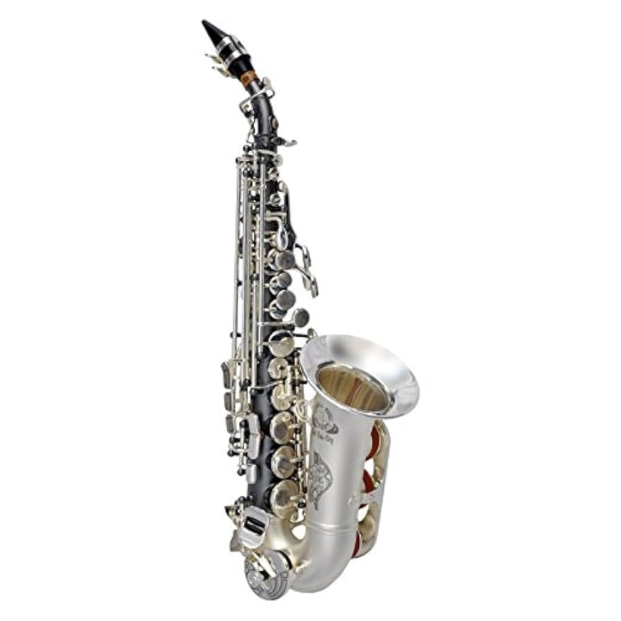 Amazon.co.jp: Cannonball SC5HS カーブド ソプラノサックス BIG